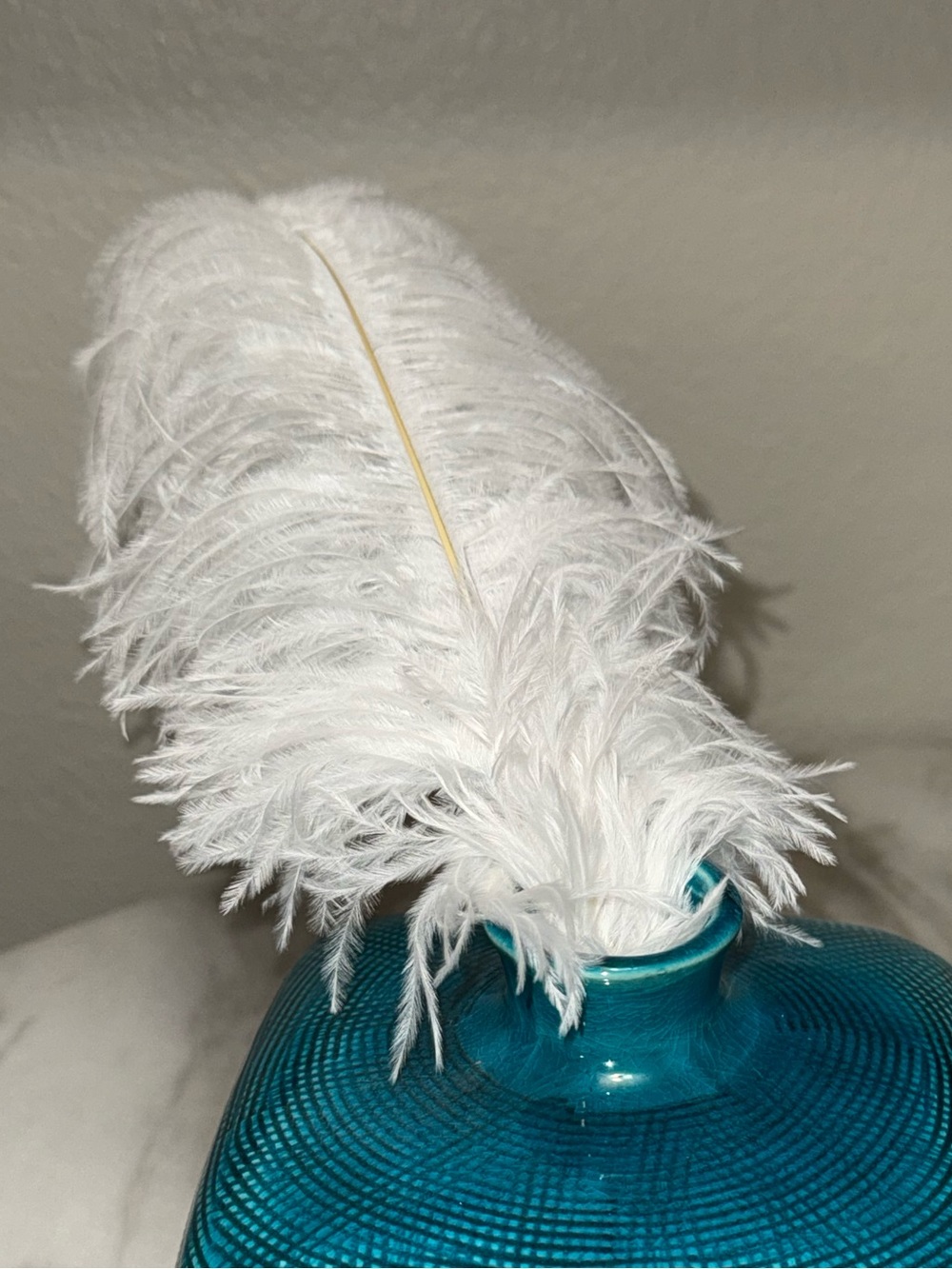 Large Ostrich feathers 17” Drabs white QTY 10